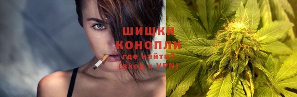 дмт Богданович
