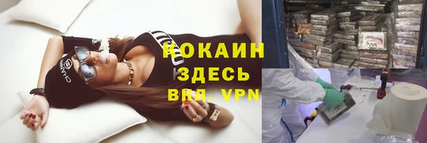 стаф Бронницы