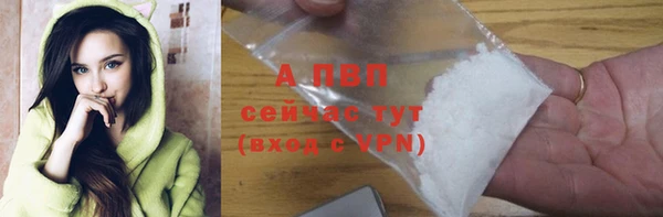 дмт Богданович