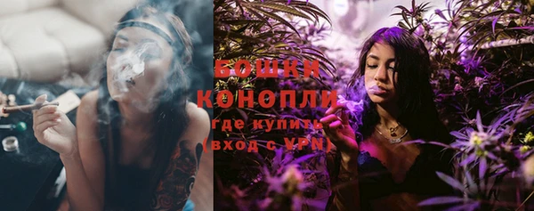 дмт Богданович