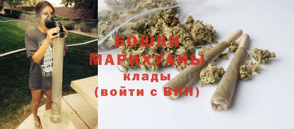 дмт Богданович