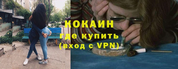дмт Богданович