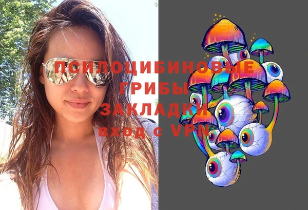 дмт Богданович