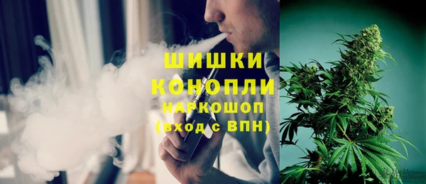 дмт Богданович