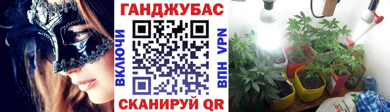 Канабис VHQ дарнет шоп Кингисепп